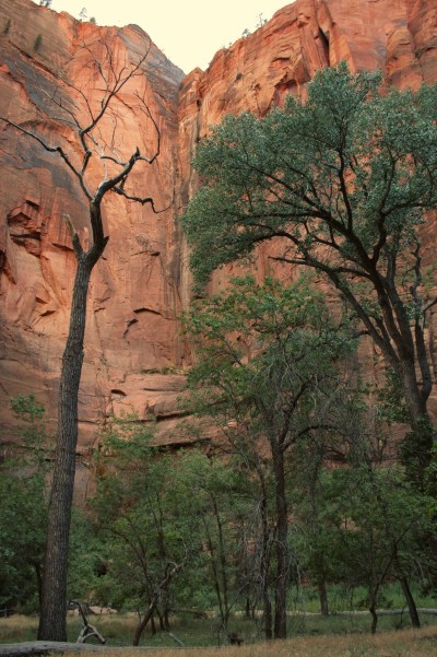 Dry Waterfall at Temple of Sinawava