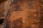 Elk Petroglyph