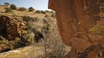 Red Tank Draw&nbsp;Petroglyphs