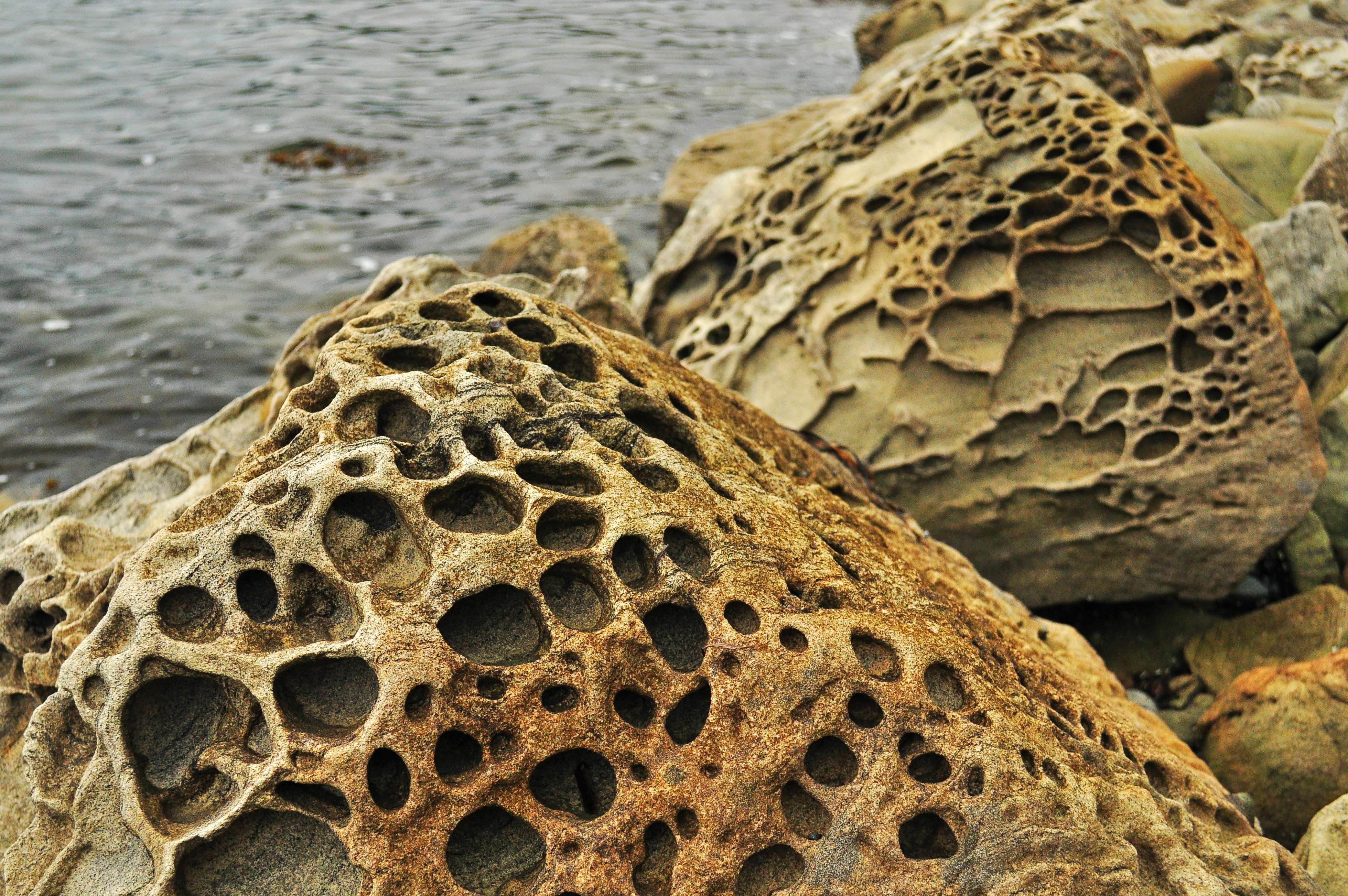 Honeycomb weathering in sandstone at Teddy Bear Cove, WA