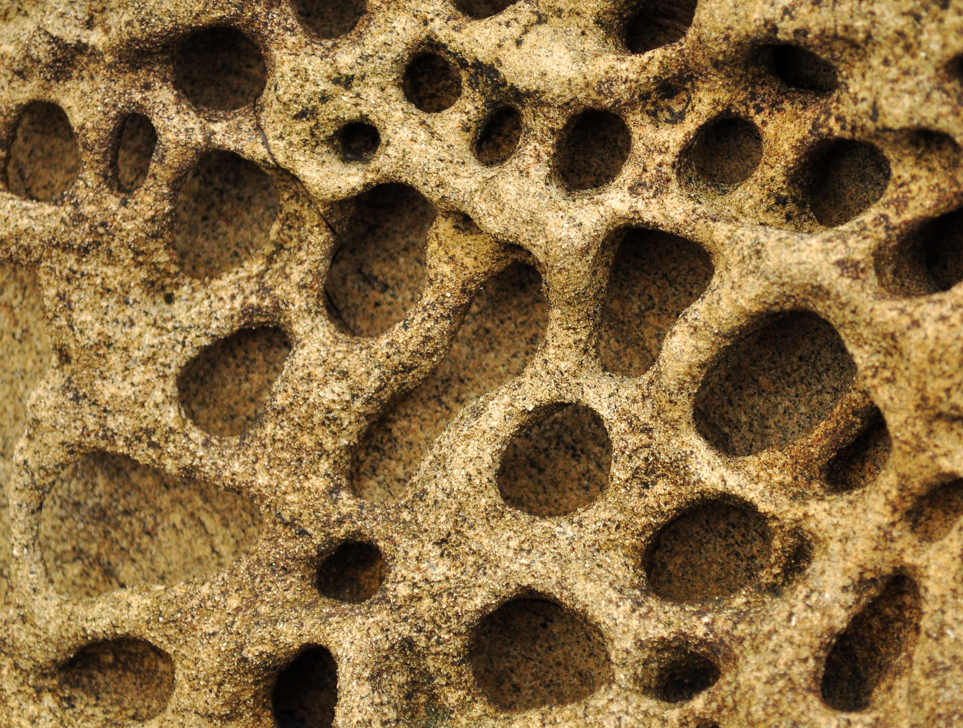 Close up of honeycomb weathering pits