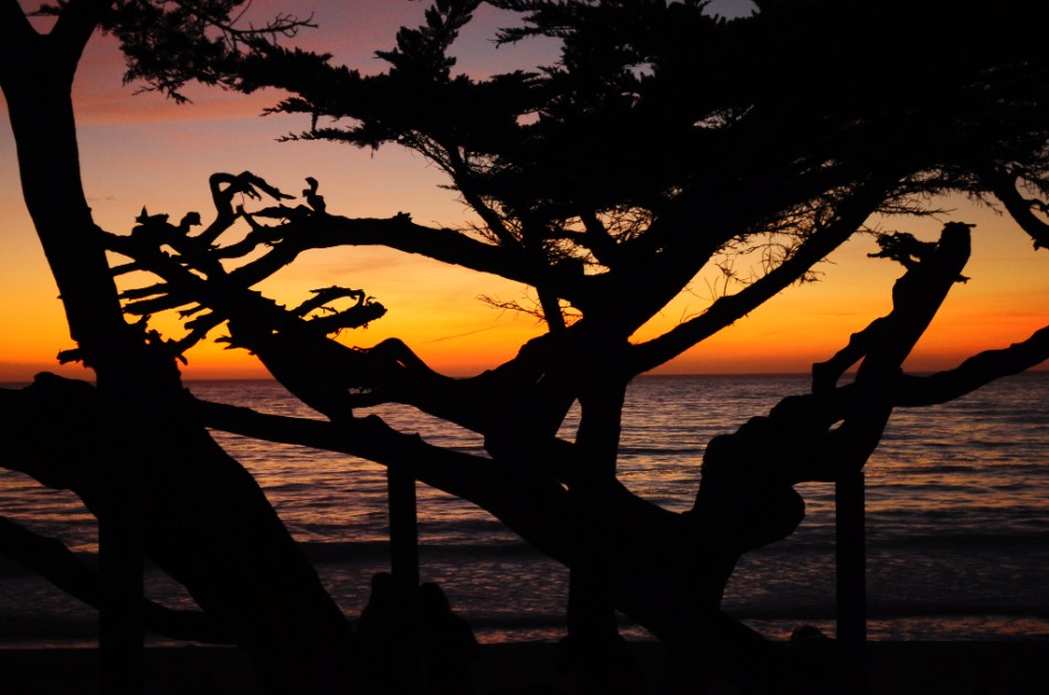 Sunset at Carmel Beach