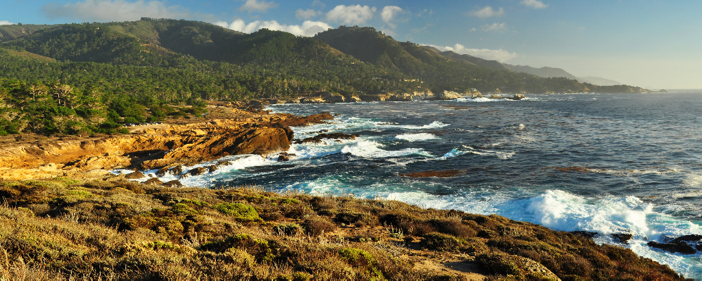 Coast at Point Lobos