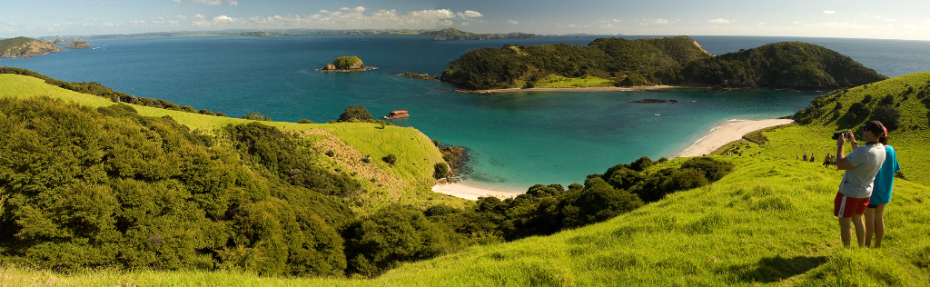 Bay of Islands View