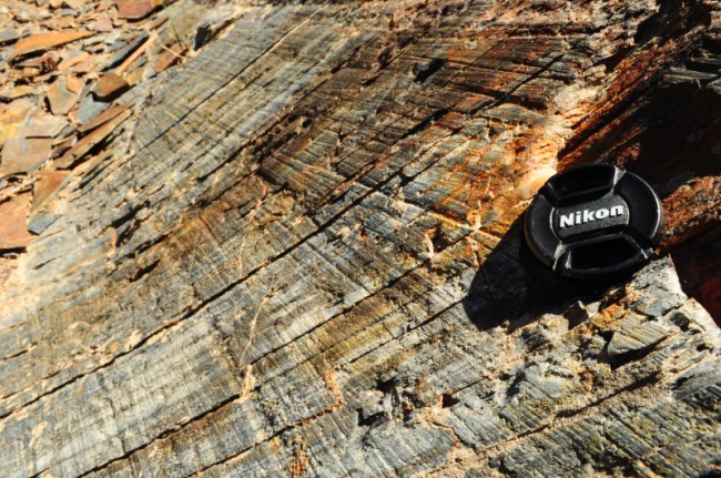 Glacial striations in the San Juan Mountains near Ouray