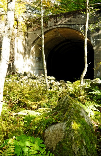 Windy_Point_Tunnel_Entrance Entrance to Windy Point Tunnel on the Iron Goat Trail