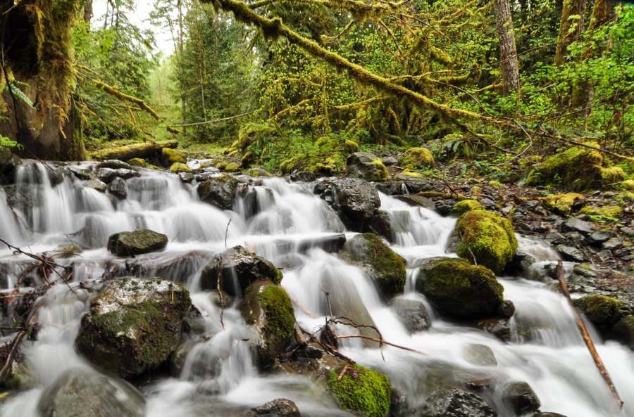 Nooksack River Cascade