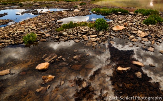 Clouds reflected in a pond in Ice Lake Basin.