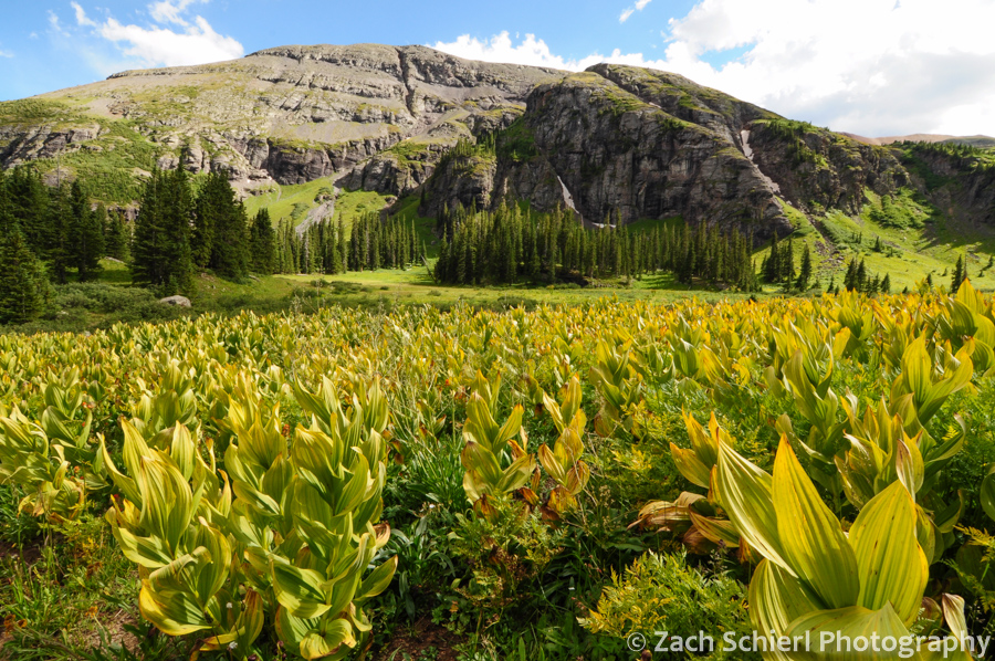 Lower Ice Lake Basin