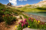 ice_lake_wildflowers
