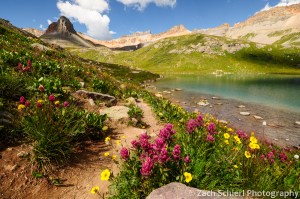 Wildflowers at Ice Lake