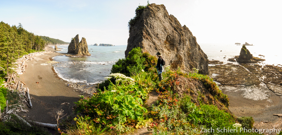 Panorama from top of Hole-in-the-Wall, Rialto Beach, Olympic National Park