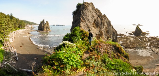 Panorama from top of Hole-in-the-Wall, Rialto Beach, Olympic National Park