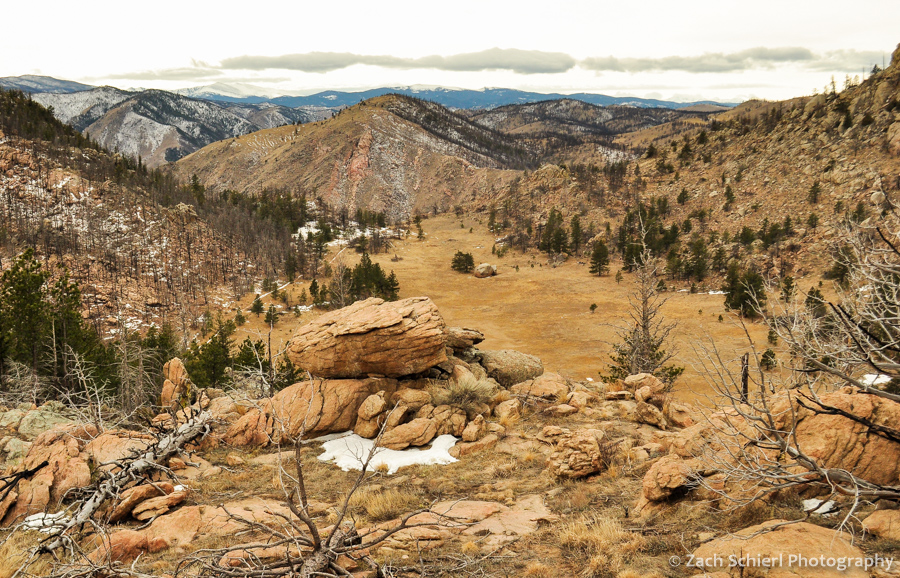 A view of Greyrock Meadow