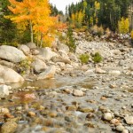 Golden aspens and creek in Rocky Mountain National Park
