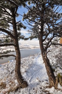 Snowy trail at trees at Horsetooth Reservoir