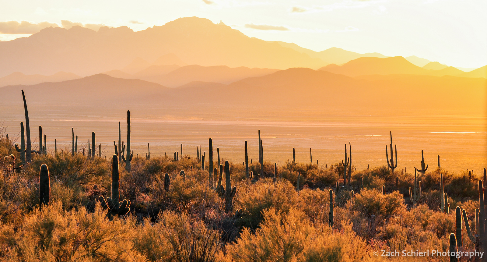 Sunset at Saguaro National Park, Arizona