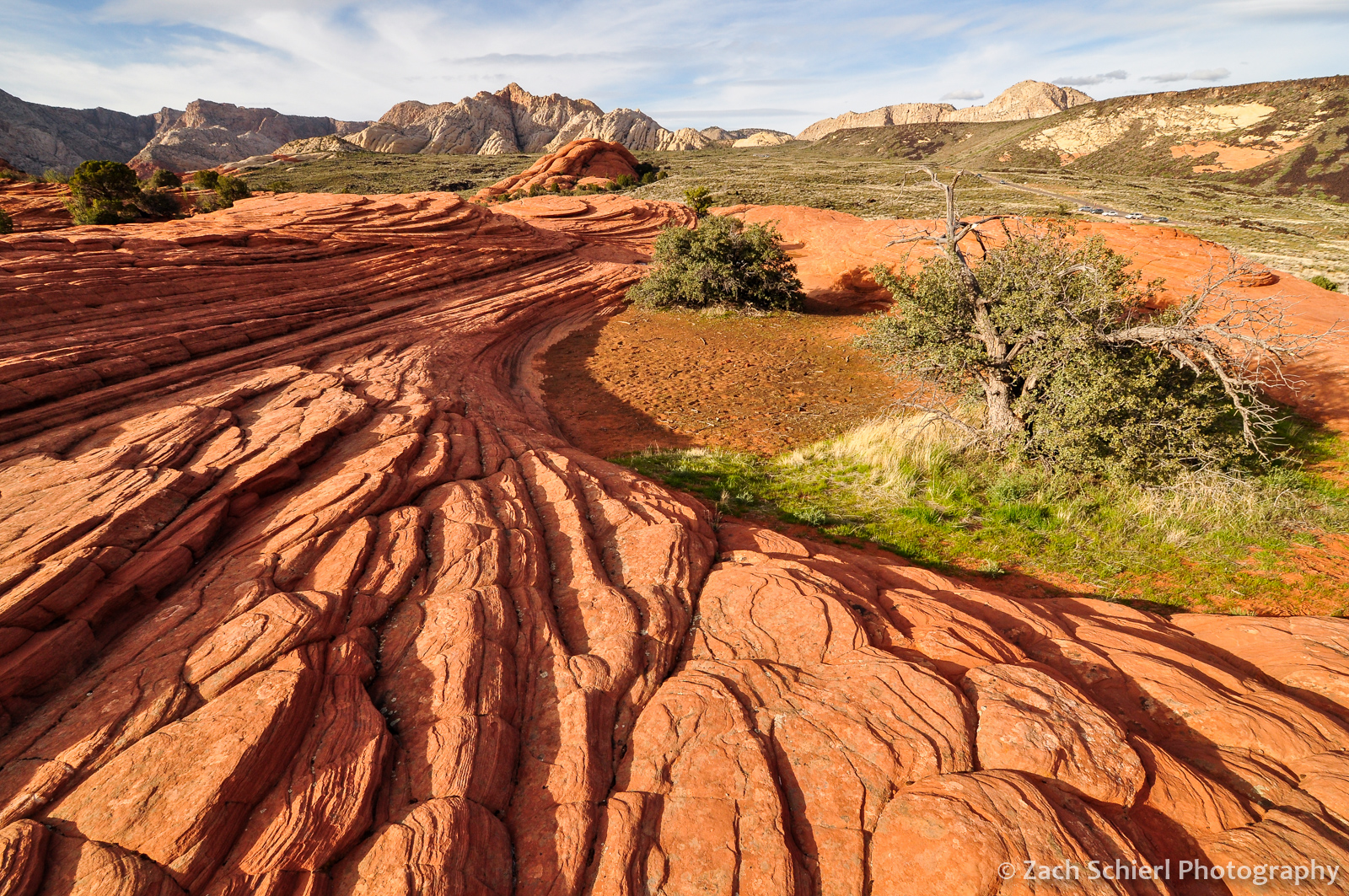 cross beds in navajo sanstone, snow canyon state park, utah