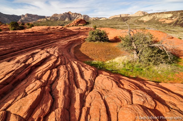 cross beds in navajo sanstone, snow canyon state park, utah