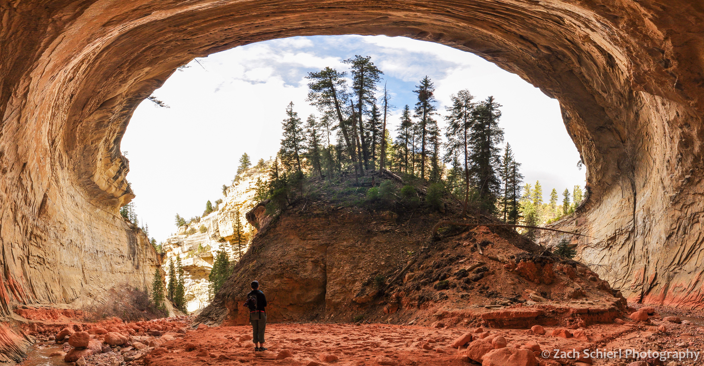 alcove along ashdown gorge