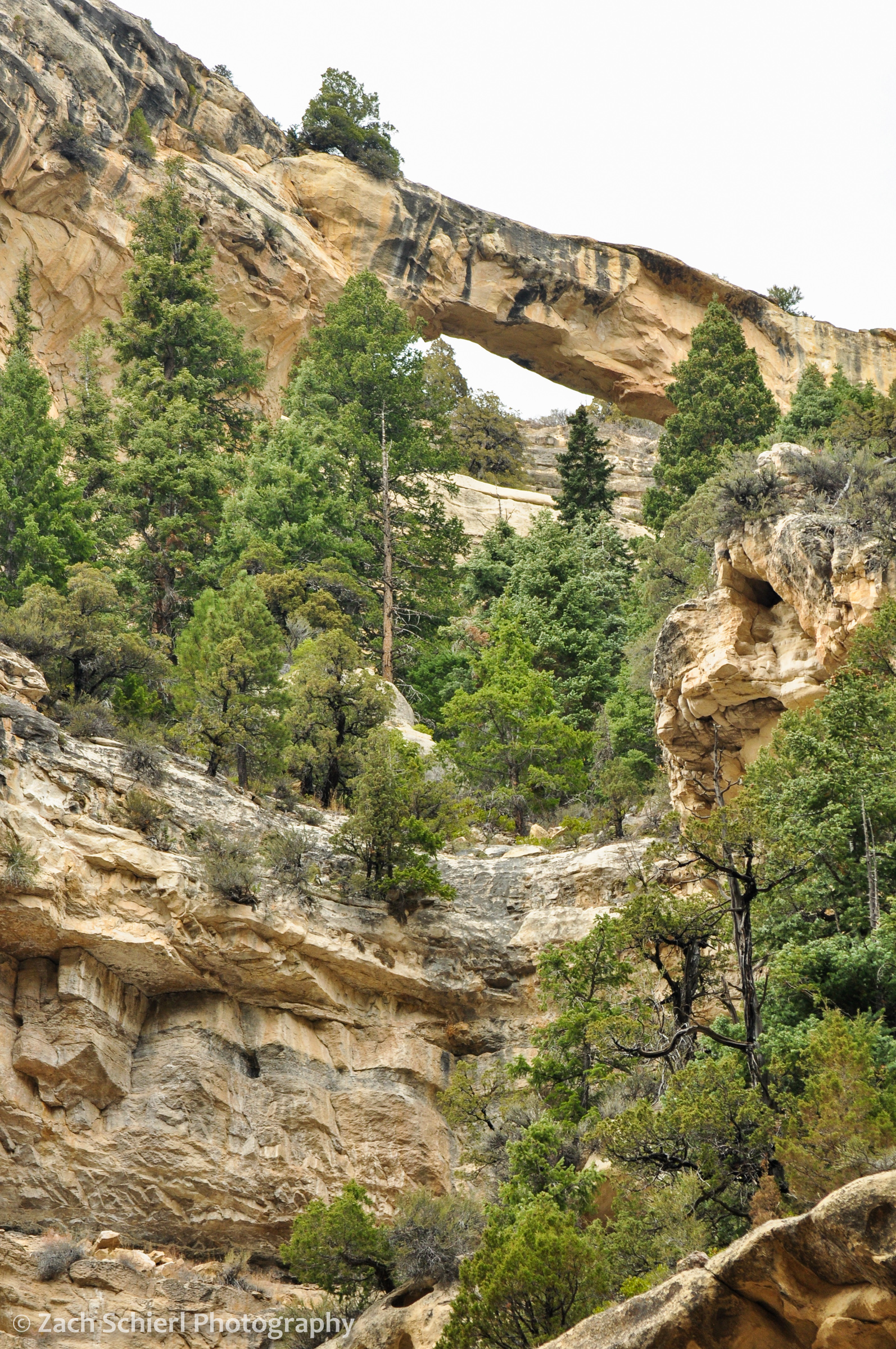 Flanigan Arch from Ashdown Gorge