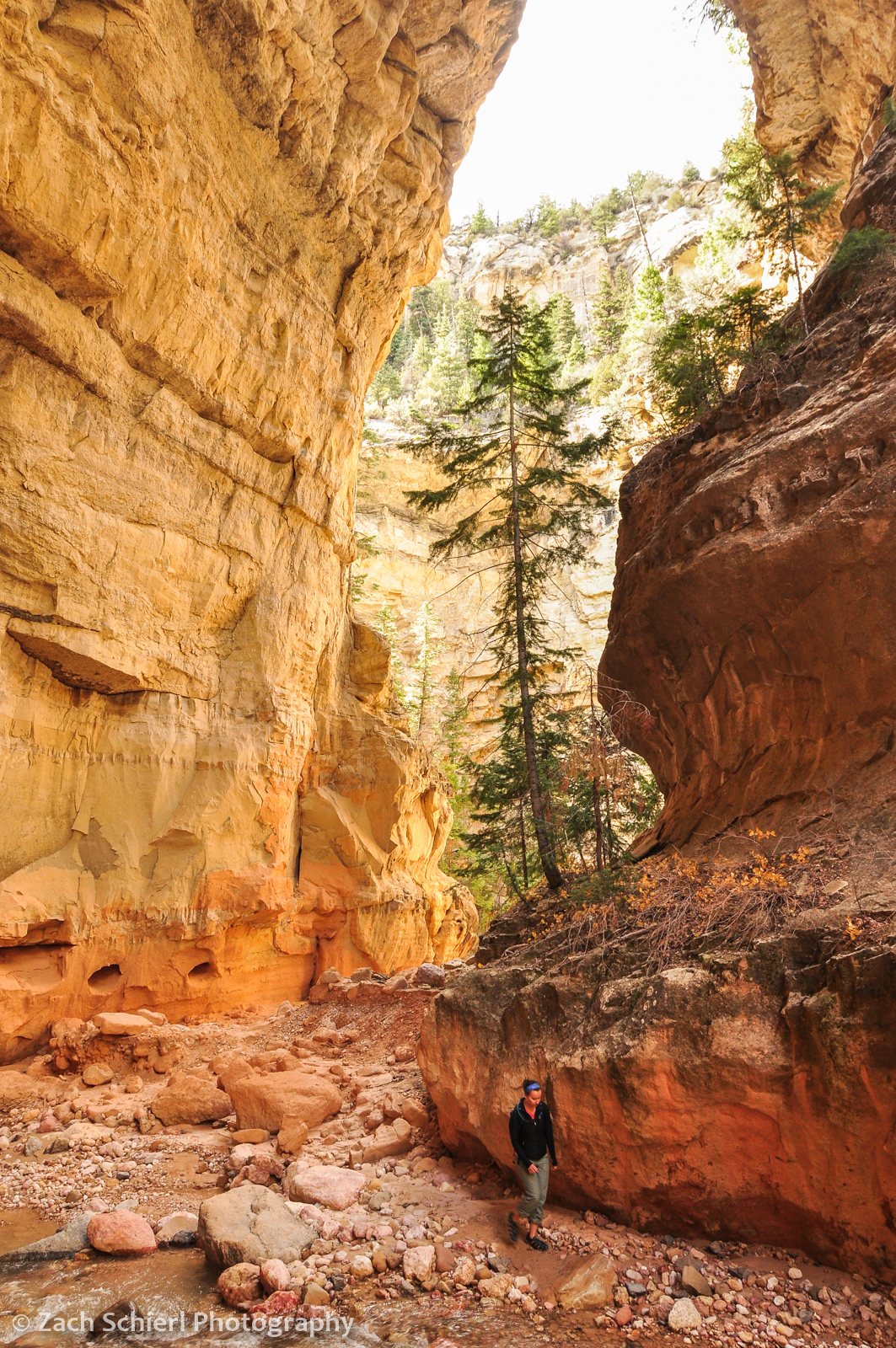 colorful scene along ashdown gorge