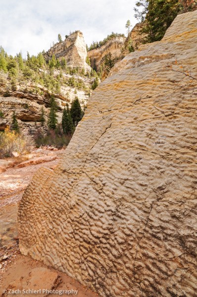 Ripple marks on boulder, Ashdown Gorge