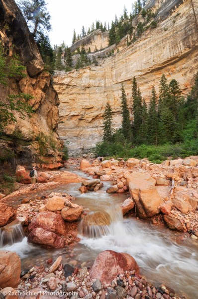 small waterfall along ashdown gorge