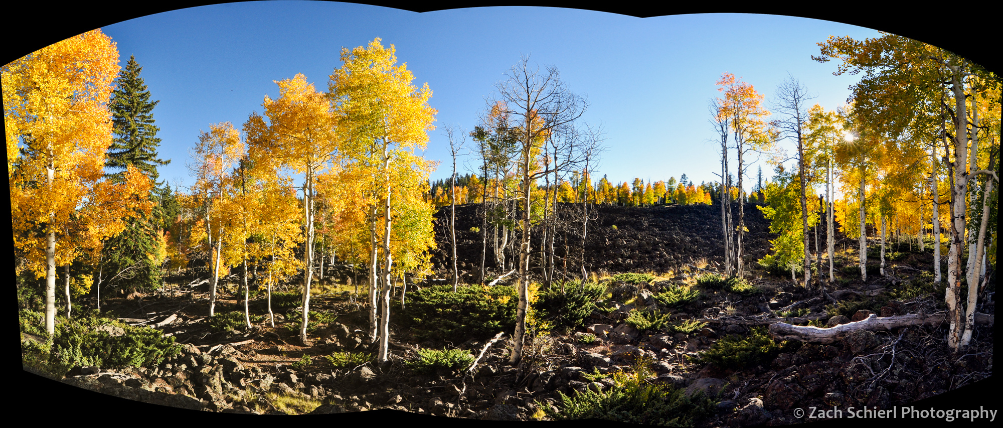 Colorful aspens dot lava flows on the Markagunt Plateau, UT