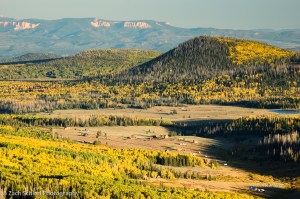 Golden aspens on the Markagunt Plateay