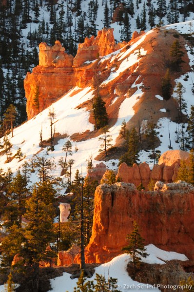 Hoodoos at sunrise, Bryce Canyon National Park