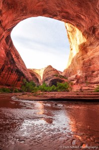 Alcove along Coyote Gulch, Utah