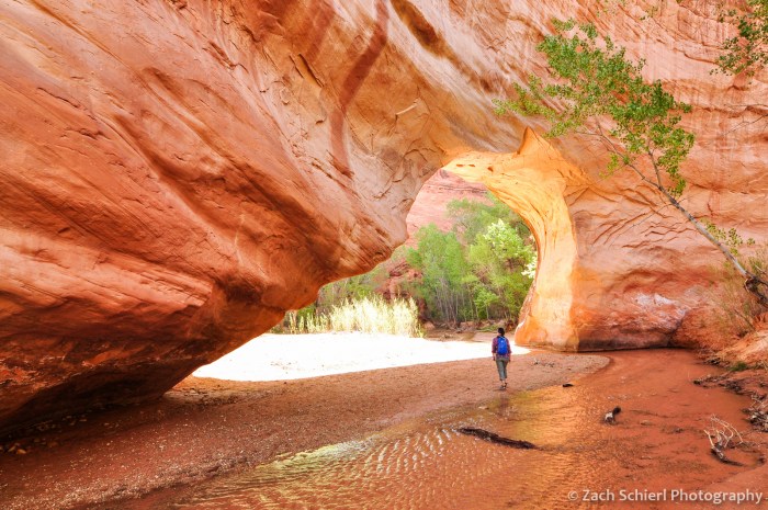 Coyote Natural Bridge, Coyote Gulch, Utah