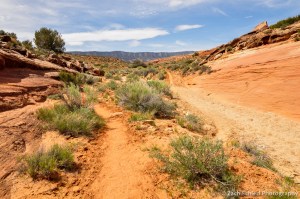 Trail through Hurricane Wash, Utah