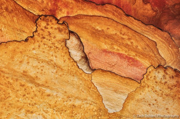 Patterns in colorful sandstone, Capitol Reef National Park, Utah