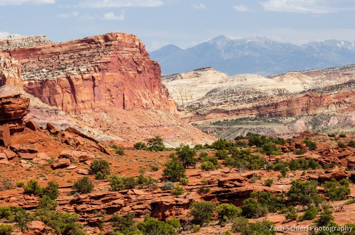 Looking east across the Waterpocket Fold toward the Henry Mountains
