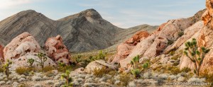 Sunset light on rock formations, Joshua Trees, and desert mountains.