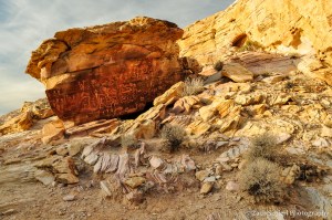 A large sandstone boulder containing numerous petroglyphs.