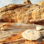Swirls of color on slickrock sandstone.