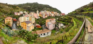 The village of Manarola spreads out below vineyards in a large ravine.