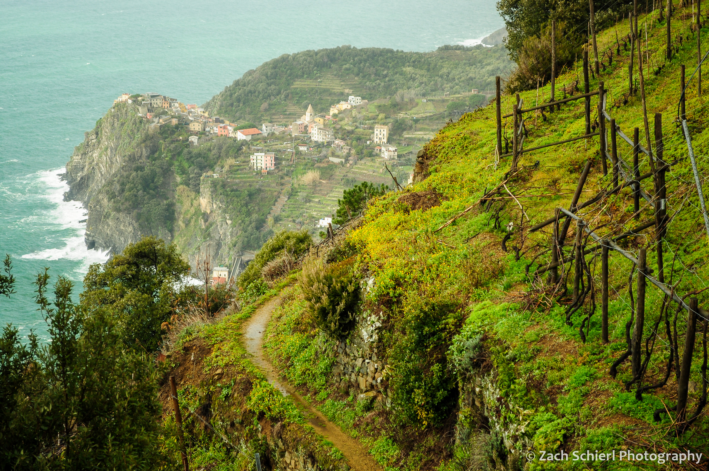 Stone terraces and vineyards frame a few of Corniglia in the distance