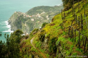 Stone terraces and vineyards frame a few of Corniglia in the distance
