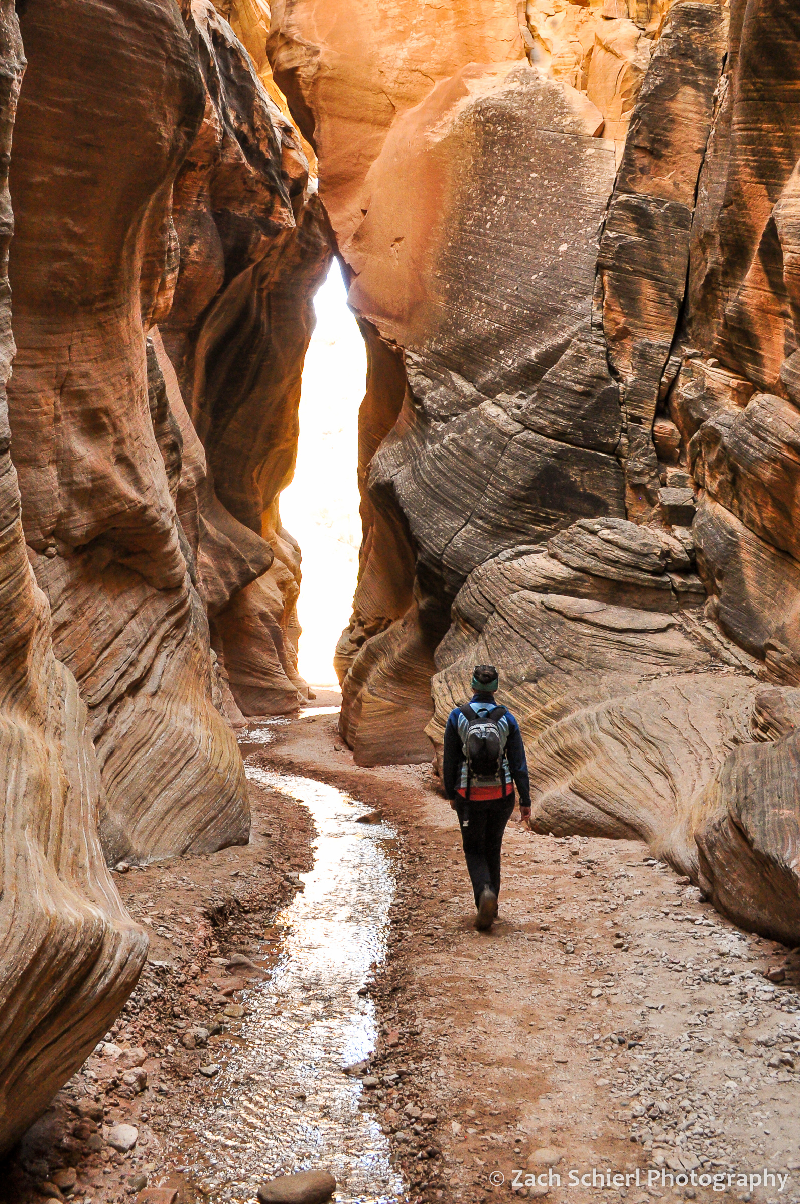 A small stream flows between narrow sandstone canyon walls