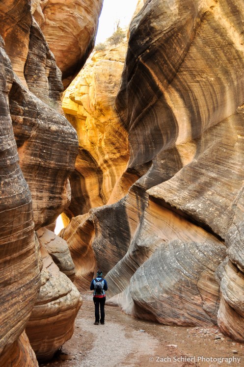 white and black streaked sandstone canyon walls