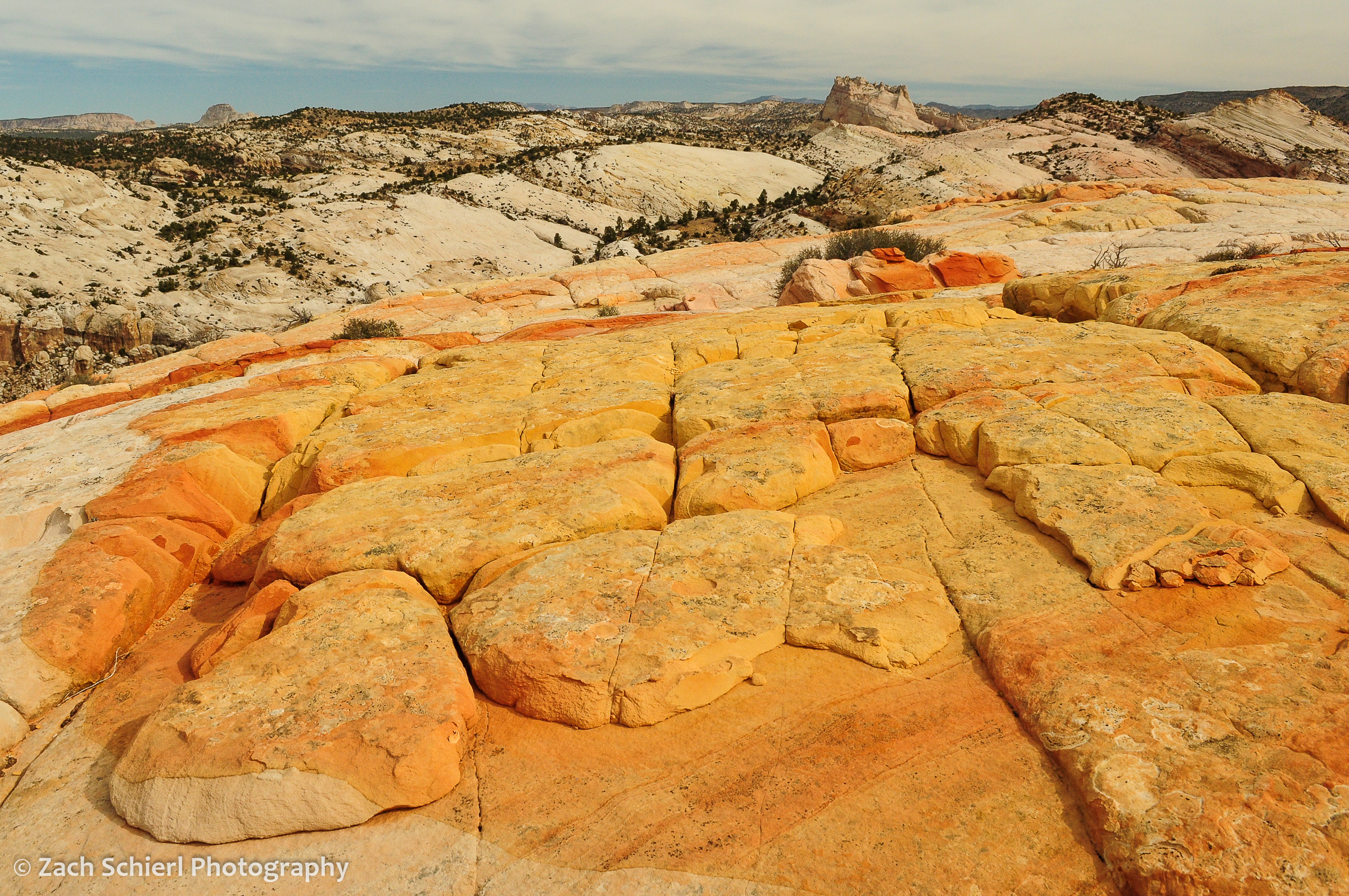 Multicolored sandstone and a view looking north along Cottonwood Canyon