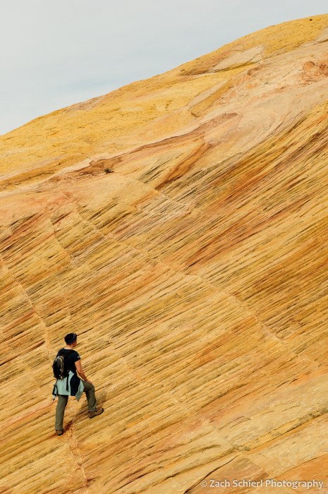 Yelow, red, orange, and pink swirls in the Navajo Sandstone