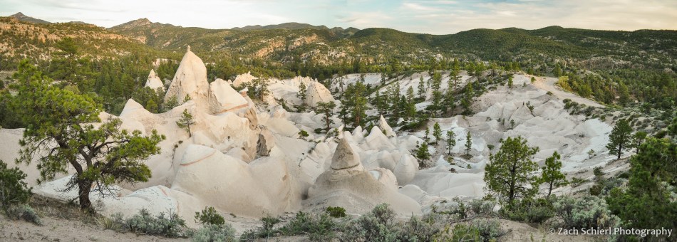 Intricately carved white rocks in a forest