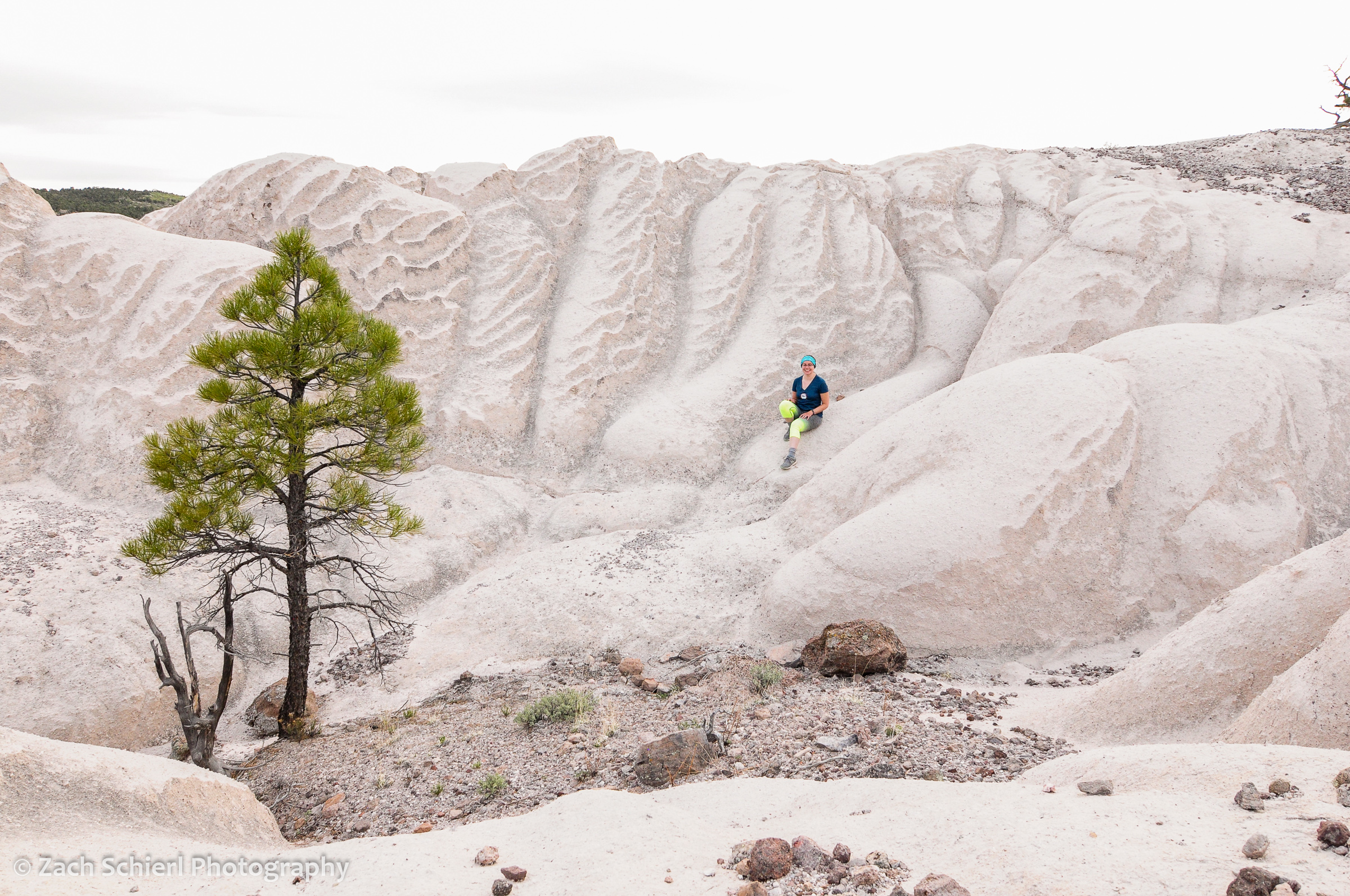 A single green pine tree emerge from cliffs of white rock