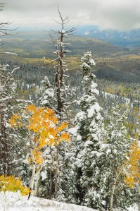 Colorful aspens and snow covered conifers overlooking the Kolob Terrace