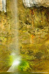 Multicolored mosses and other planets cling to the rock beneath a waterfall. 